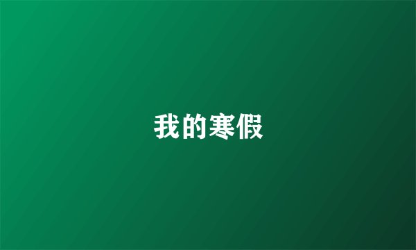 我的寒假