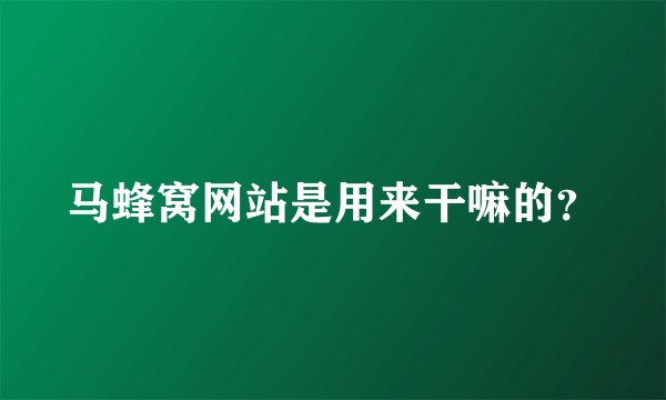 马蜂窝网站是用来干嘛的?
