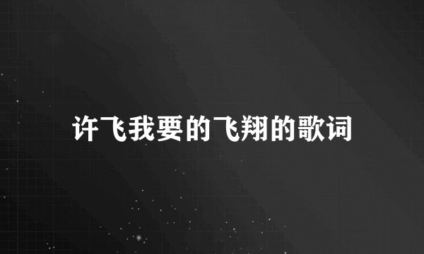 许飞我要的飞翔的歌词