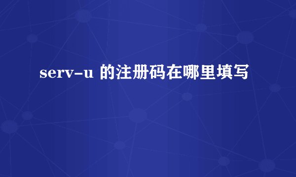 serv-u 的注册码在哪里填写