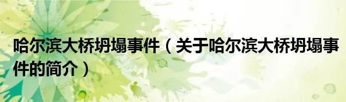 哈尔滨大桥坍塌事件（关于哈尔滨大桥坍塌事件的简介）