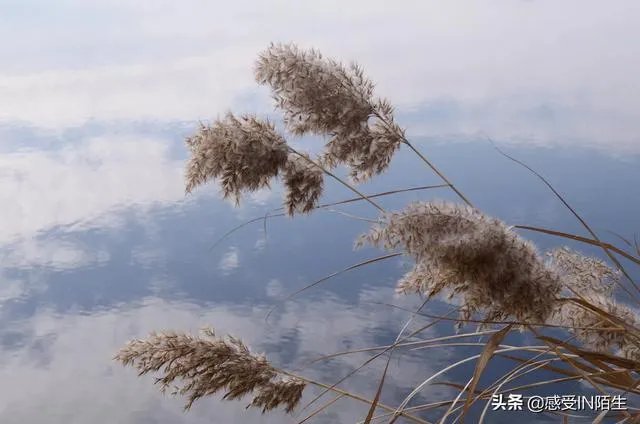 汽车自驾游的感受有哪些?