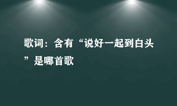 歌词：含有“说好一起到白头”是哪首歌
