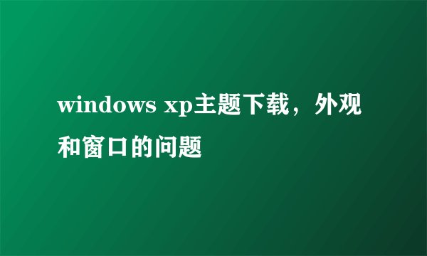windows xp主题下载，外观和窗口的问题