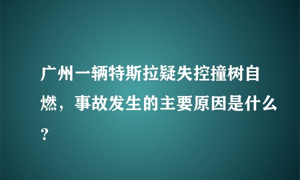 广州一辆特斯拉疑失控撞树自燃，事故发生的主要原因是什么？