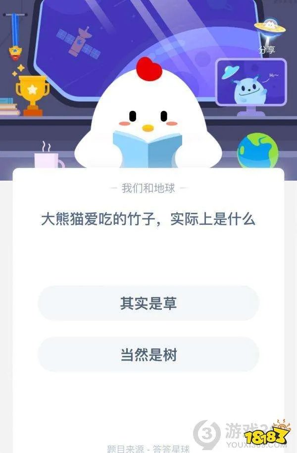 大熊猫爱吃的竹子实际上是什么 一起来看看今天的正确答案