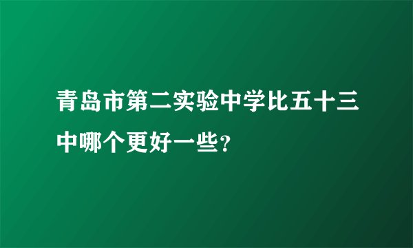 青岛市第二实验中学比五十三中哪个更好一些？