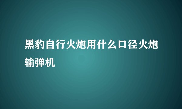 黑豹自行火炮用什么口径火炮输弹机