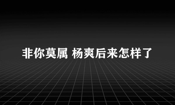 非你莫属 杨爽后来怎样了