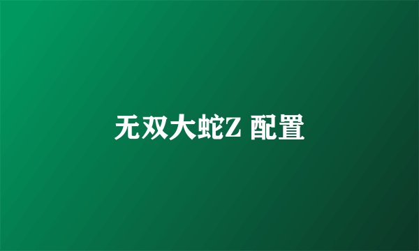 无双大蛇Z 配置