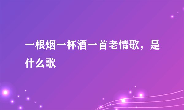 一根烟一杯酒一首老情歌，是什么歌