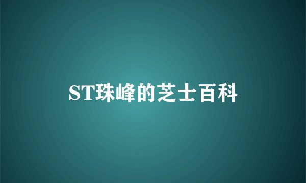 ST珠峰的芝士百科