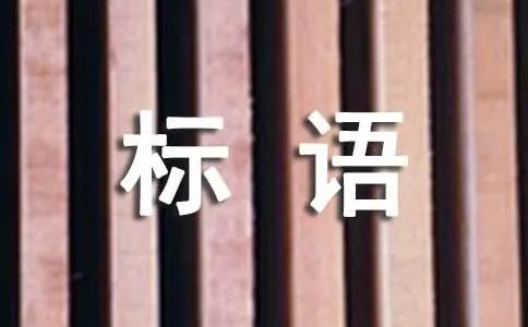 最新法制标语