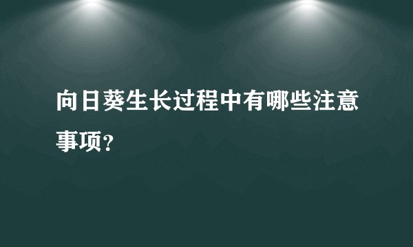向日葵生长过程中有哪些注意事项？