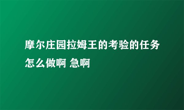摩尔庄园拉姆王的考验的任务怎么做啊 急啊