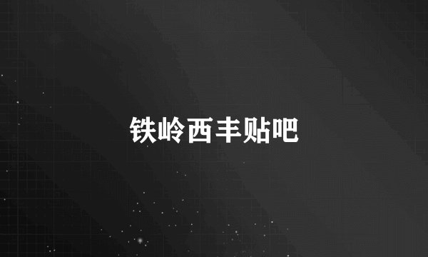 铁岭西丰贴吧