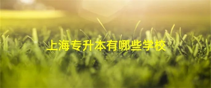上海专升本有哪些学校