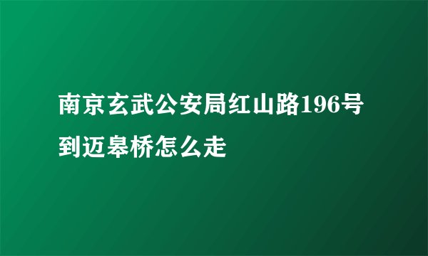 南京玄武公安局红山路196号到迈皋桥怎么走