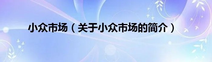 小众市场（关于小众市场的简介）