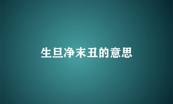 生旦净末丑的意思