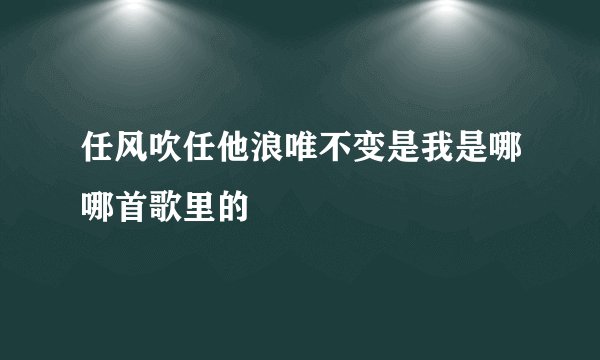 任风吹任他浪唯不变是我是哪哪首歌里的