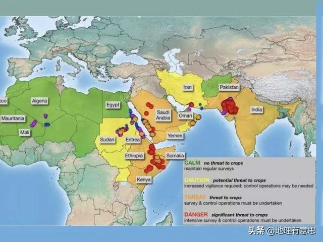 非洲蝗虫成灾,已影响印度和巴基斯坦,会传入中国吗?