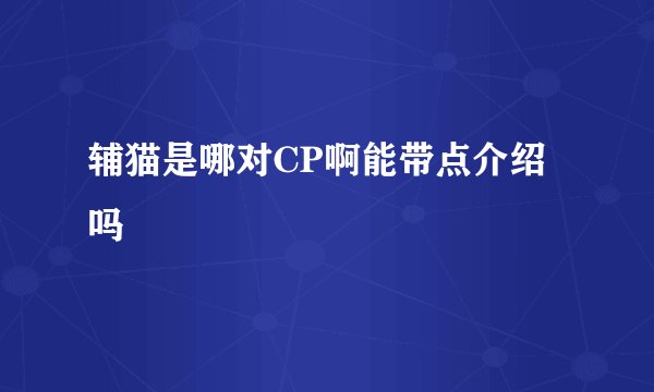 辅猫是哪对CP啊能带点介绍吗