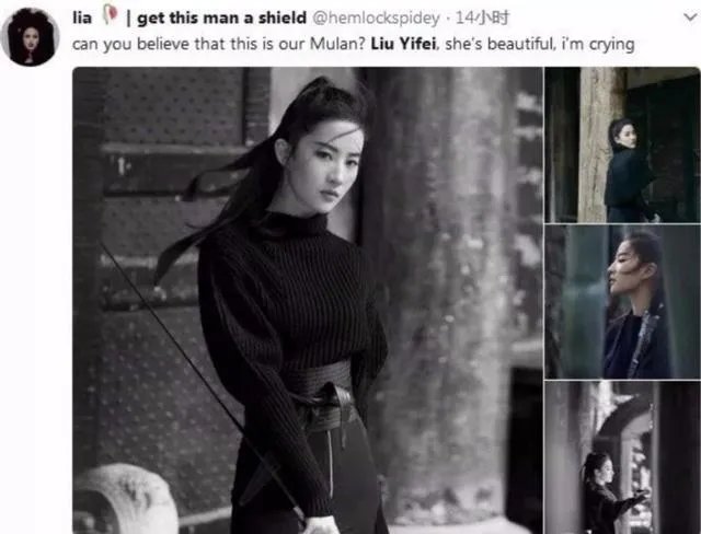 刘亦菲出演花木兰,大家怎么看?