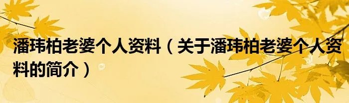 潘玮柏老婆个人资料（关于潘玮柏老婆个人资料的简介）