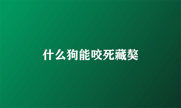 什么狗能咬死藏獒