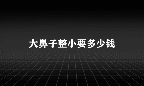 大鼻子整小要多少钱