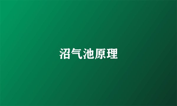 沼气池原理