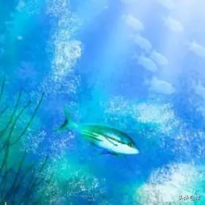 北海有哪些好玩的地方?