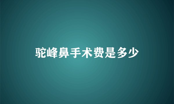 驼峰鼻手术费是多少