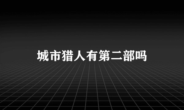 城市猎人有第二部吗