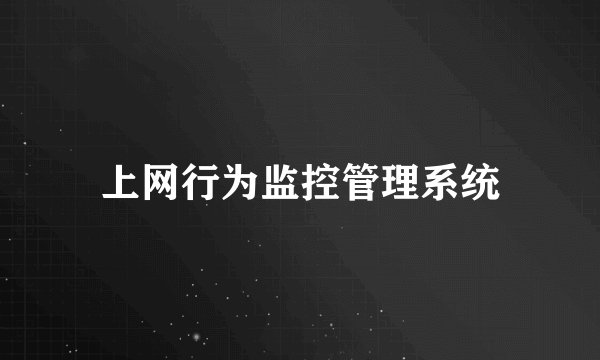 上网行为监控管理系统