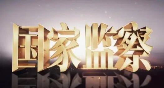 2020央视《国家监察》首播体会心得【范文】