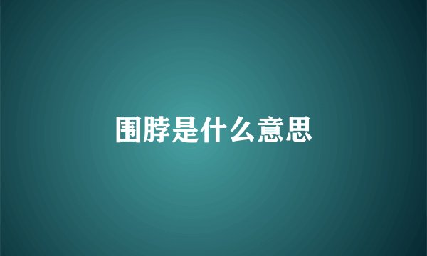 围脖是什么意思