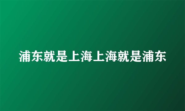 浦东就是上海上海就是浦东