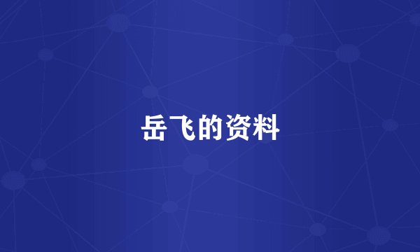 岳飞的资料