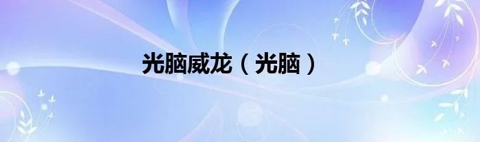 光脑威龙（光脑）