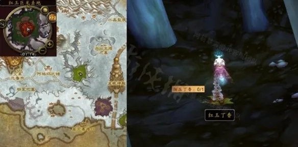 《魔兽世界》wlk红玉丁香在哪里获取?红玉丁香获取位置介绍