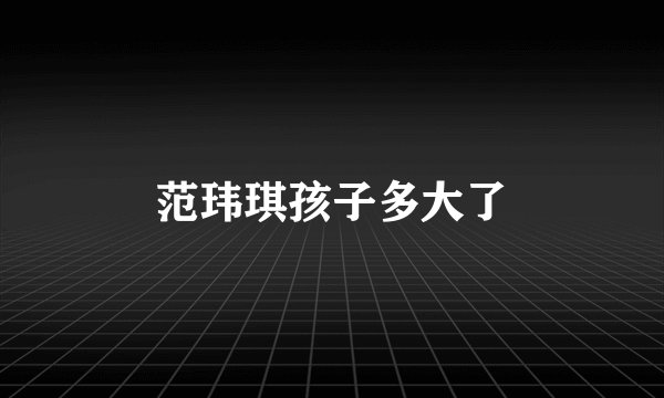 范玮琪孩子多大了