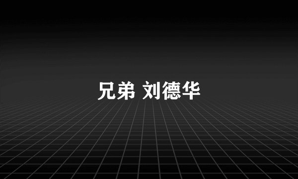 兄弟 刘德华