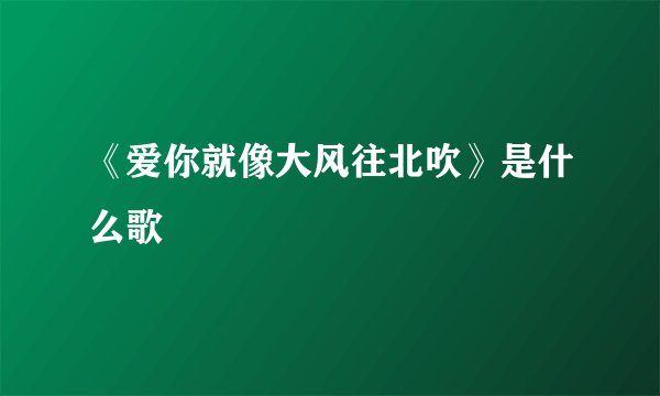 《爱你就像大风往北吹》是什么歌