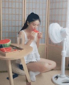 有哪些搞笑gif动画呢?