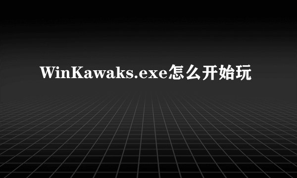 WinKawaks.exe怎么开始玩