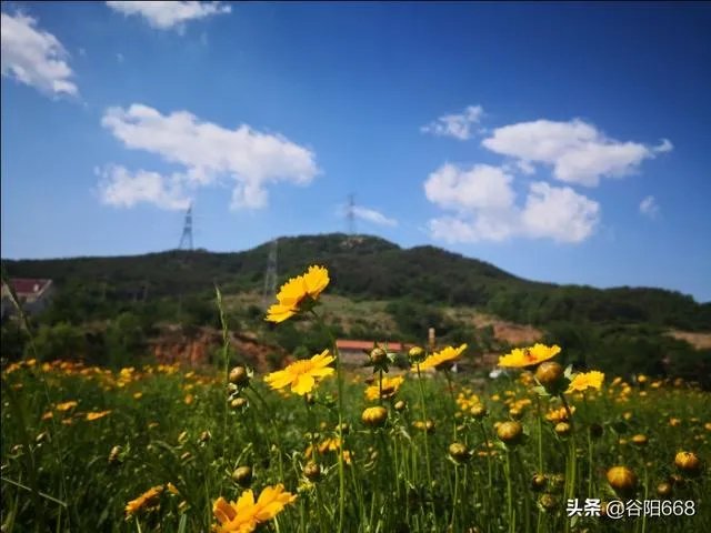开车旅行是什么感觉呢？