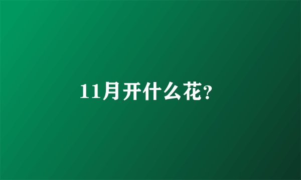 11月开什么花？