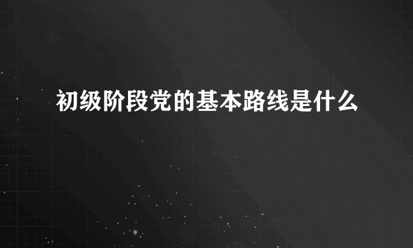 初级阶段党的基本路线是什么